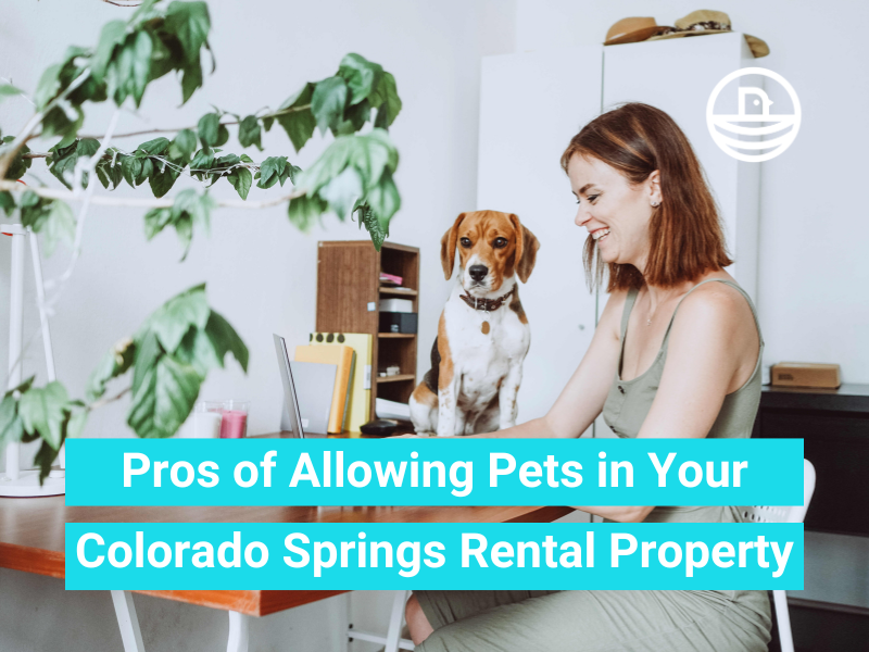 Pros of Allowing Pets in Your Colorado Springs Rental Property